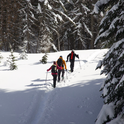 Trail